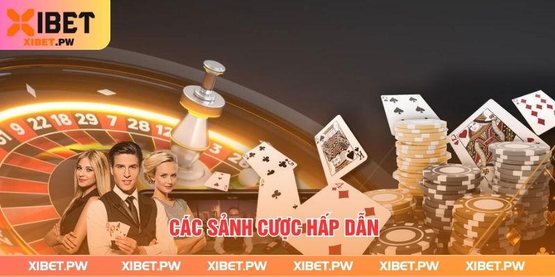 Các sảnh cược hấp dẫn