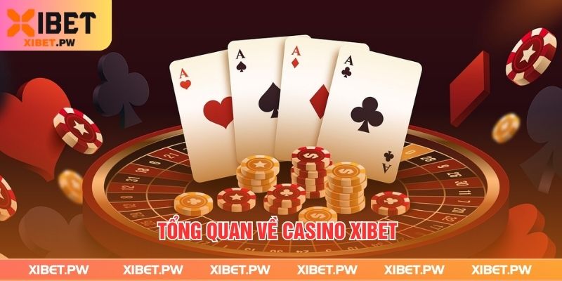 Tổng quan về casino Xibet