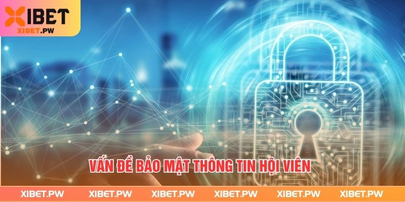 Điều khoản sử dụng - Quy tắc cần biết khi tham gia Xibet Vấn đề bảo mật thông tin hội viên
