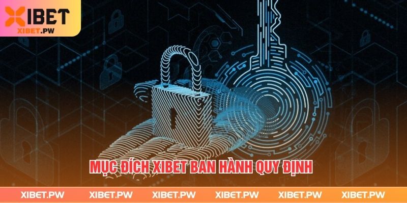 Quyền Riêng Tư - Cam Kết Trường Tồn Giúp Xibet Tạo Niềm Tin Mục đích xibet ban hành quy định