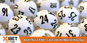 Bạch thủ lô