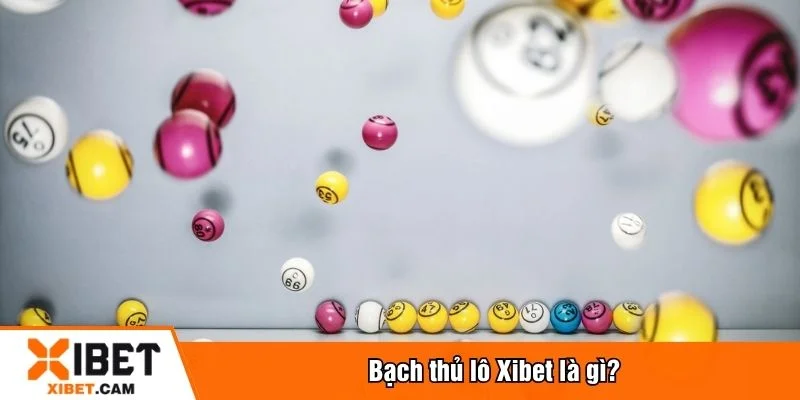 Bạch thủ lô là hình thức chọn duy nhất một số