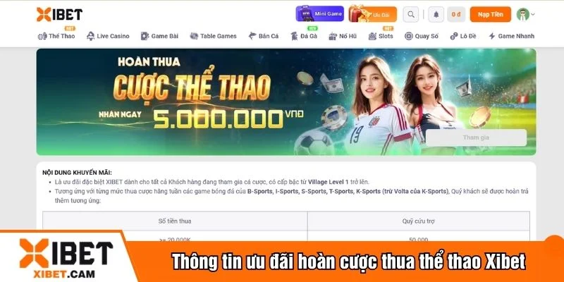 Hoàn cược thua thể thao được nhiều bet thủ quan tâm