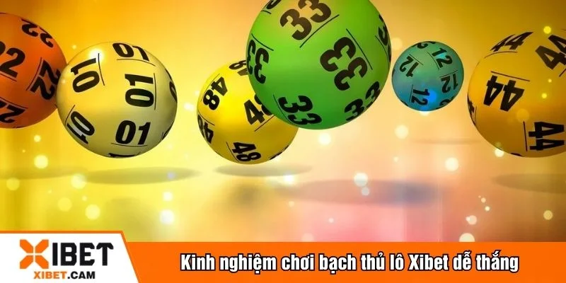 Kiên nhẫn và tinh tế khi chơi bạch thủ lô
