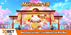 Mèo chiêu tài