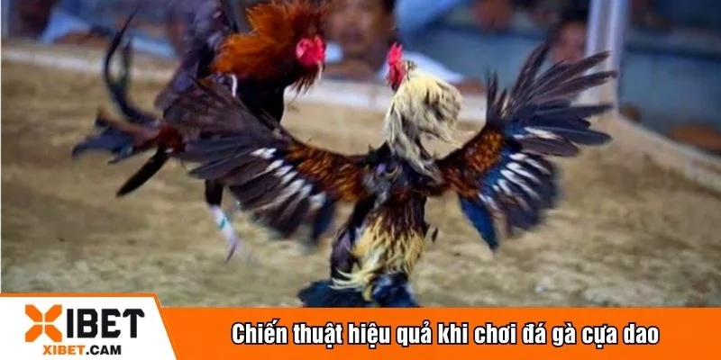 Theo dõi sát diễn biến để vào tiền hợp lý