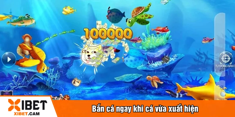 Bắn cá ngay khi cá vừa xuất hiện