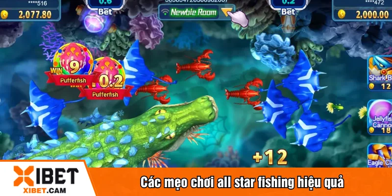 Các mẹo chơi all star fishing hiệu quả