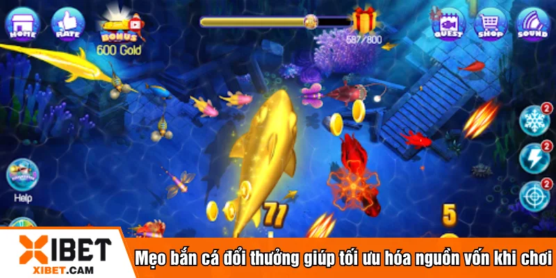 Mẹo bắn cá đổi thưởng giúp tối ưu hóa nguồn vốn khi chơi
