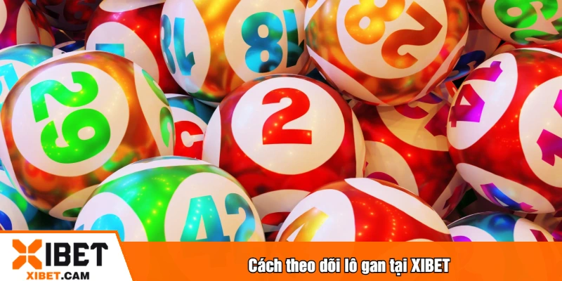 Cách theo dõi lô gan tại XIBET