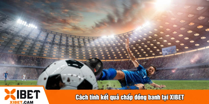 Cách tính kết quả chấp đồng banh tại XIBET