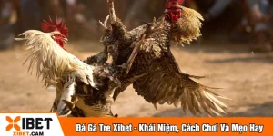 Đá gà tre
