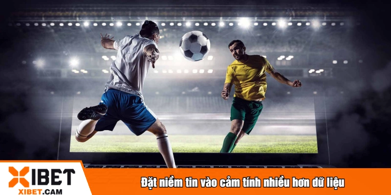 Đặt niềm tin vào cảm tính nhiều hơn dữ liệu