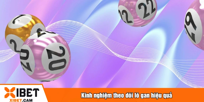Kinh nghiệm theo dõi lô gan hiệu quả