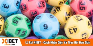 Lô rơi