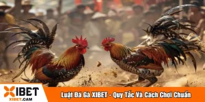 Luật đá gà