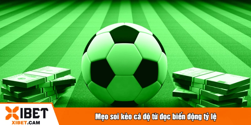 Mẹo soi kèo cá độ từ đọc biến động tỷ lệ