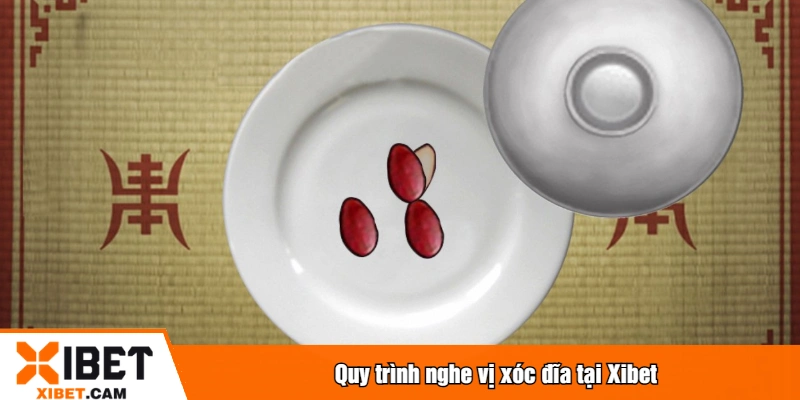 Quy trình nghe vị xóc đĩa tại Xibet