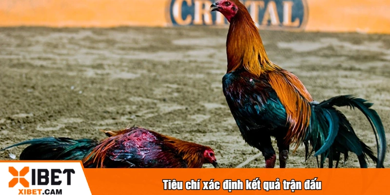 Tiêu chí xác định kết quả trận đấu