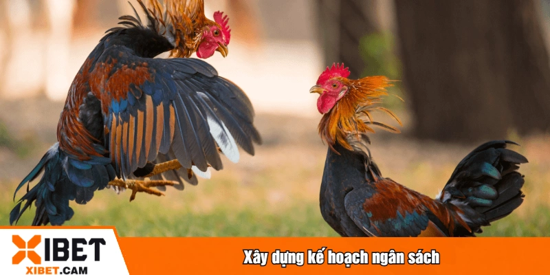 Kinh Nghiệm Đá Gà XIBET - Tổng Hợp Mẹo Chiến Thắng Xây dựng kế hoạch ngân sách